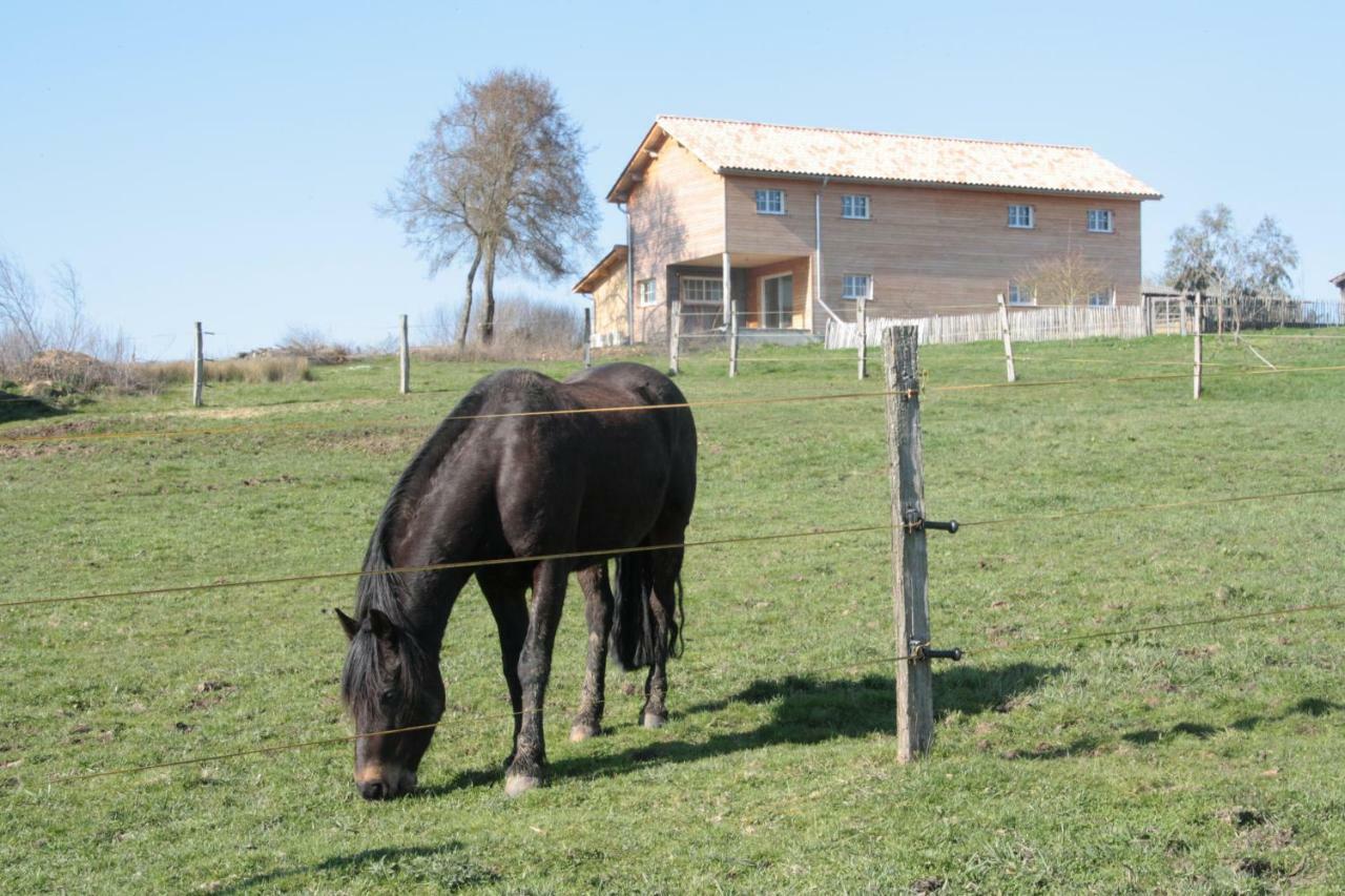 Le Petit Durbec Villa La Force  Екстериор снимка